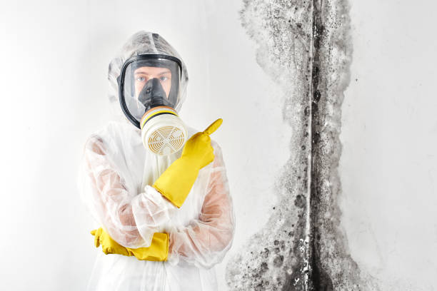 Best Emergency Mold Remediation  in Pine Island Center, FL